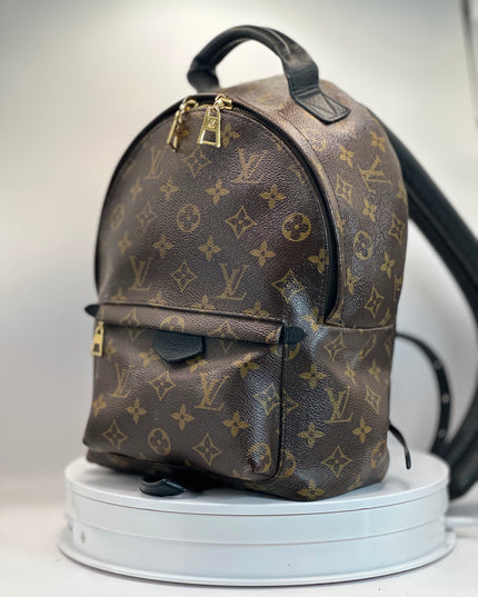 LOUIS VUITTON Monogram Palm Springs PM Backpack