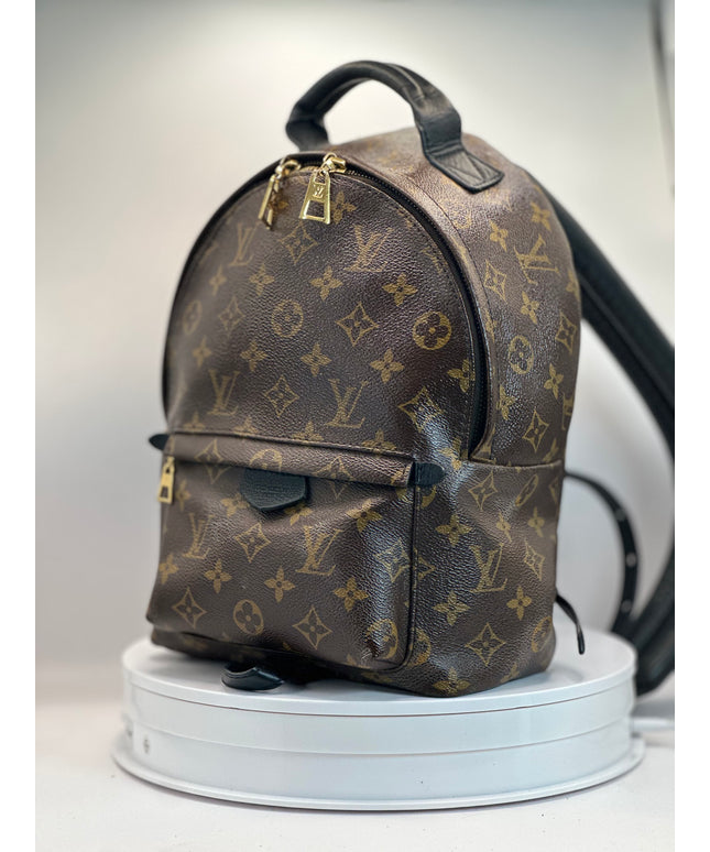 LOUIS VUITTON Monogram Palm Springs PM Backpack