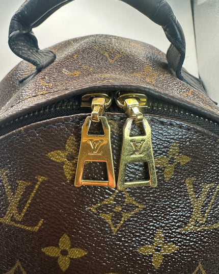 LOUIS VUITTON Monogram Palm Springs PM Backpack