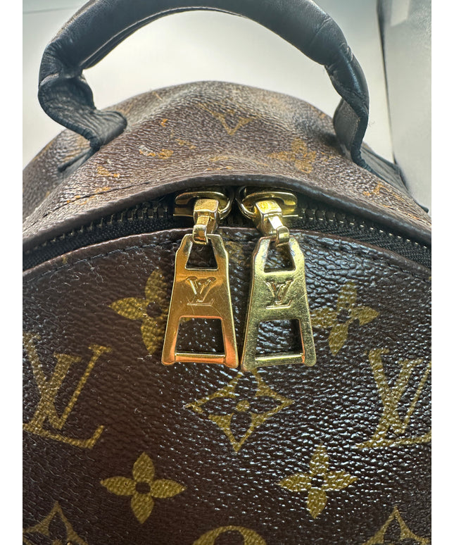 LOUIS VUITTON Monogram Palm Springs PM Backpack