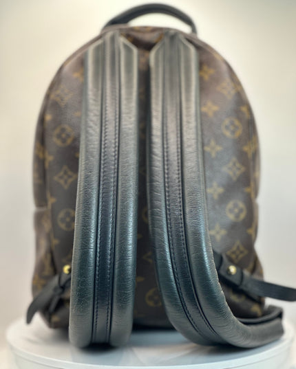 LOUIS VUITTON Monogram Palm Springs PM Backpack