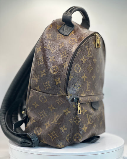 LOUIS VUITTON Monogram Palm Springs PM Backpack