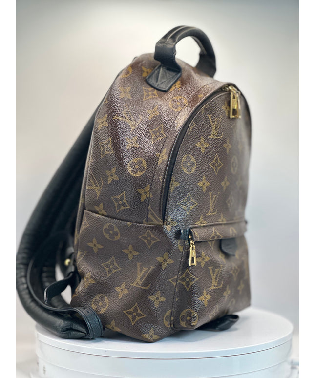 LOUIS VUITTON Monogram Palm Springs PM Backpack