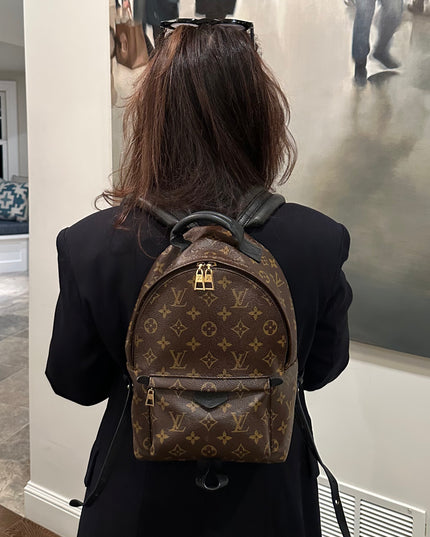 LOUIS VUITTON Monogram Palm Springs PM Backpack