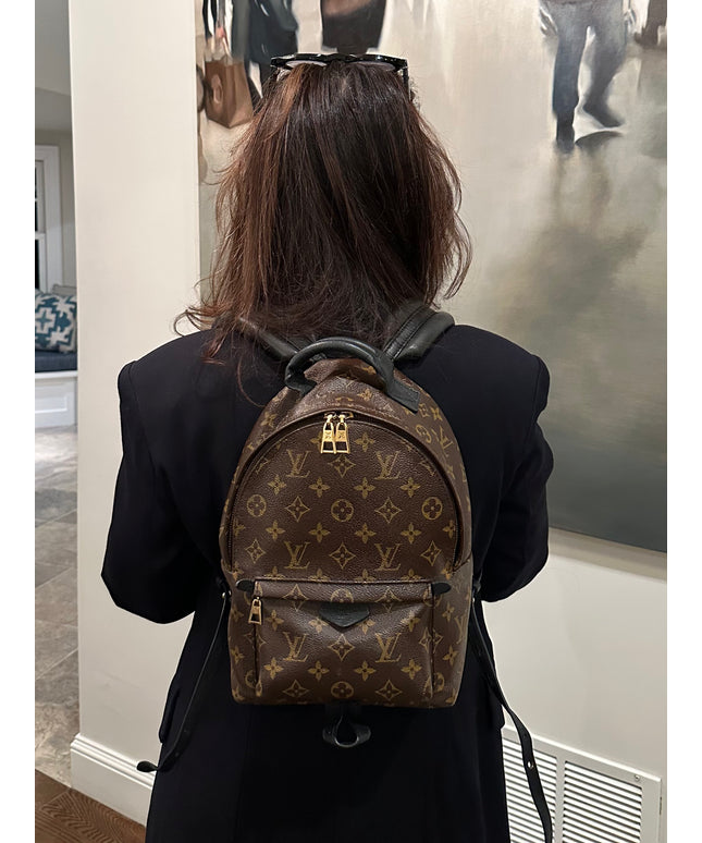 LOUIS VUITTON Monogram Palm Springs PM Backpack