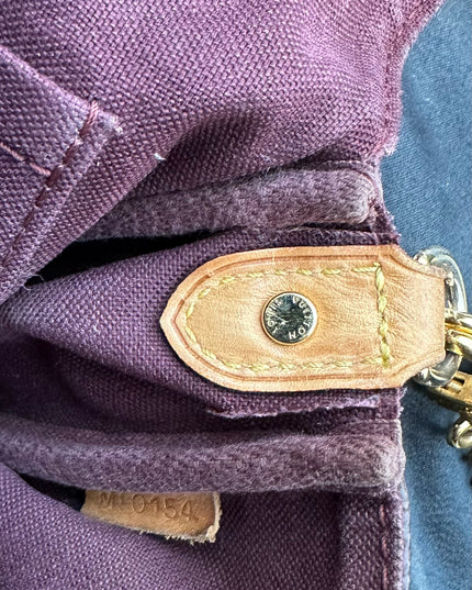Louis Vuitton Favorite Monogram