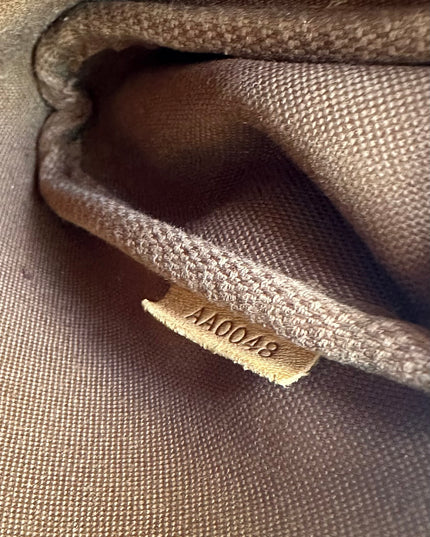 Louis Vuitton monogram Eva shoulder bag