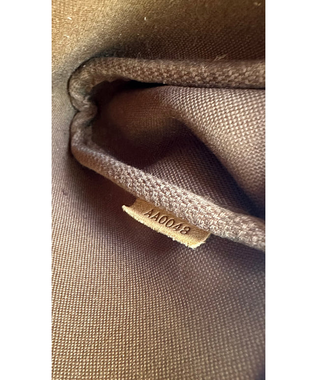 Louis Vuitton monogram Eva shoulder bag