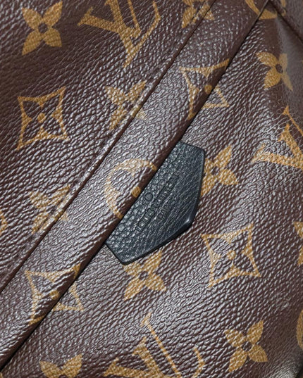 LOUIS VUITTON Monogram Palm Springs PM Backpack